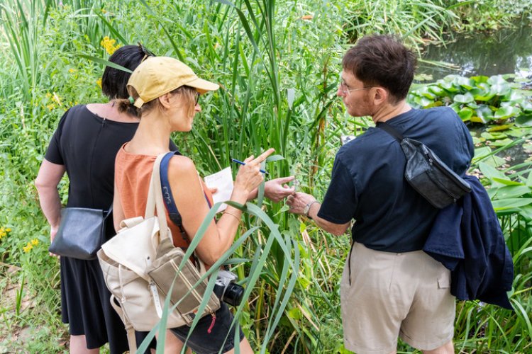 Learning from Nature? – Botany 